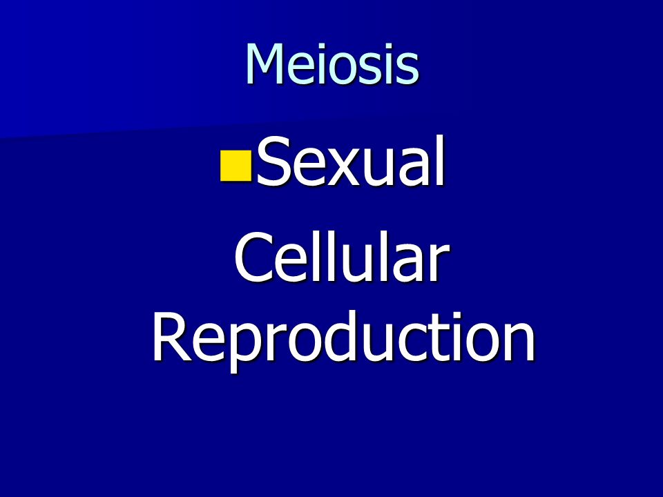 Meiosis Sexual Sexual Cellular Reproduction Cellular Reproduction