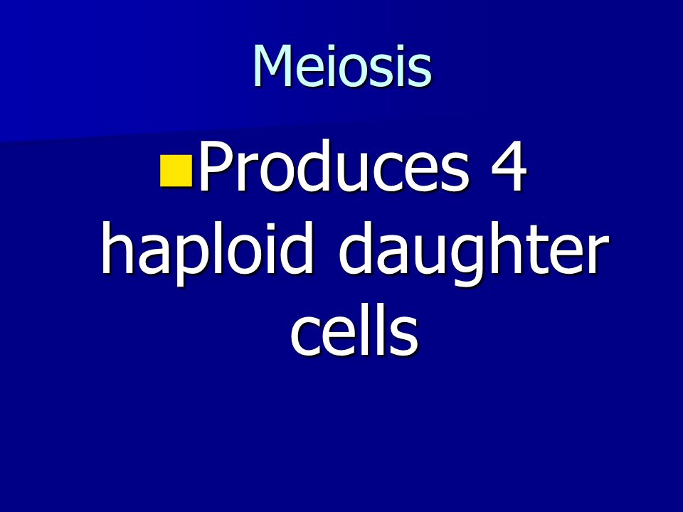 Meiosis Produces 4 haploid daughter cells Produces 4 haploid daughter cells
