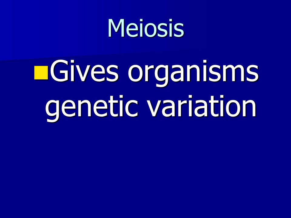 Meiosis Gives organisms genetic variation Gives organisms genetic variation