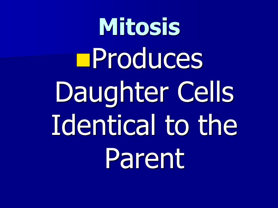 Mitosis Produces Daughter Cells Identical to the Parent Produces Daughter Cells Identical to the Parent