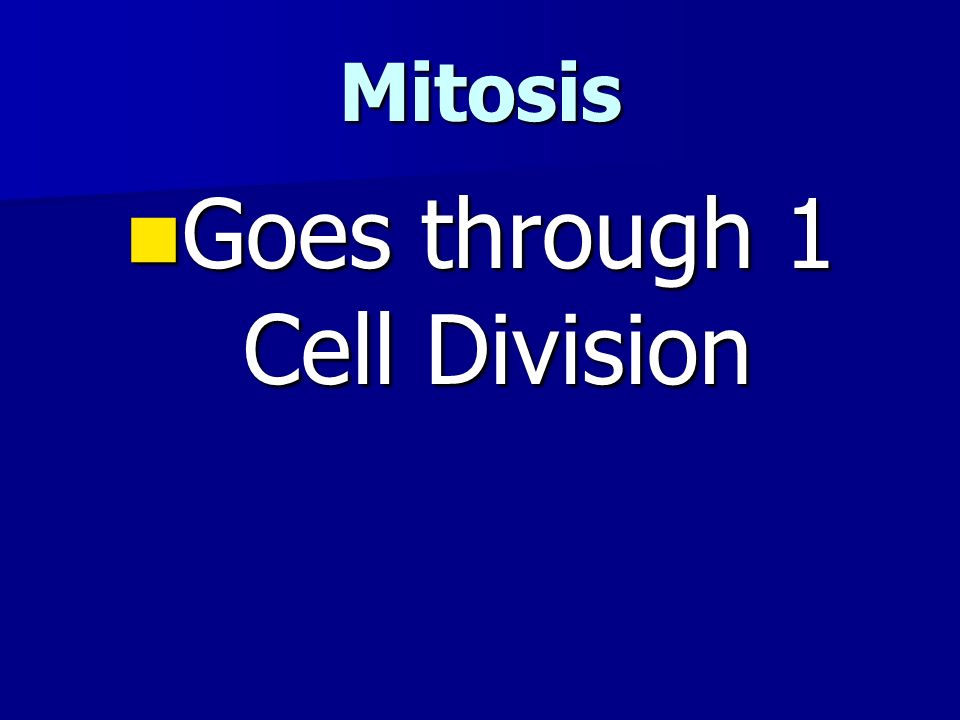Mitosis Goes through 1 Cell Division Goes through 1 Cell Division