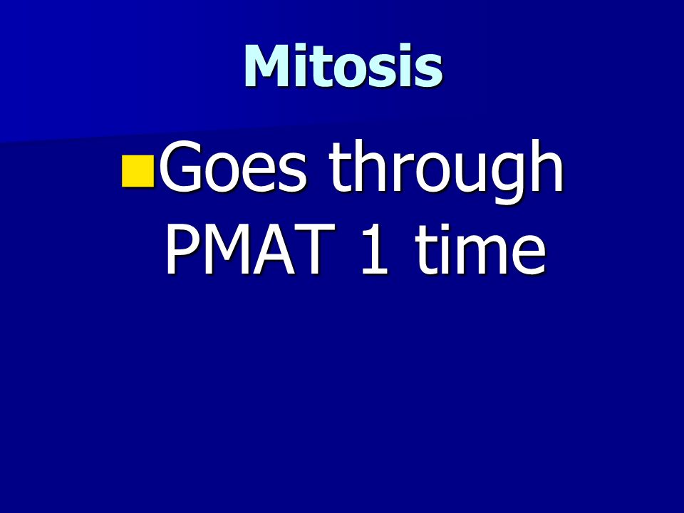 Mitosis Goes through PMAT 1 time Goes through PMAT 1 time