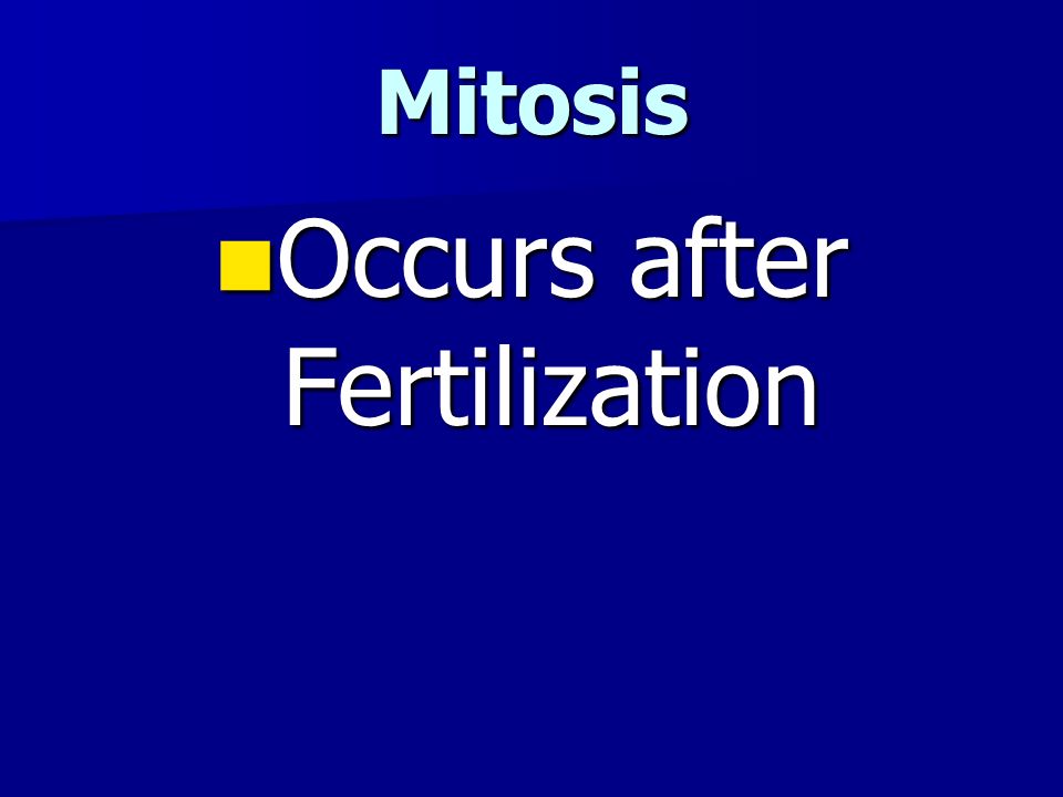 Mitosis Occurs after Fertilization Occurs after Fertilization