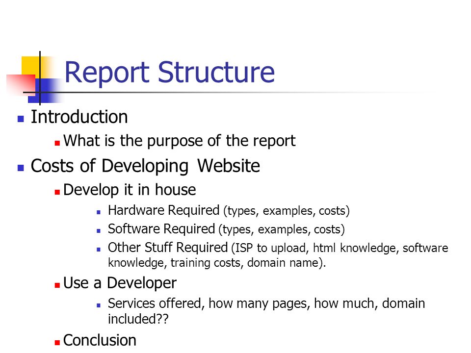 Report Structure Introduction What is the purpose of the report Costs of Developing Website Develop it in house Hardware Required (types, examples, costs) Software Required (types, examples, costs) Other Stuff Required (ISP to upload, html knowledge, software knowledge, training costs, domain name).