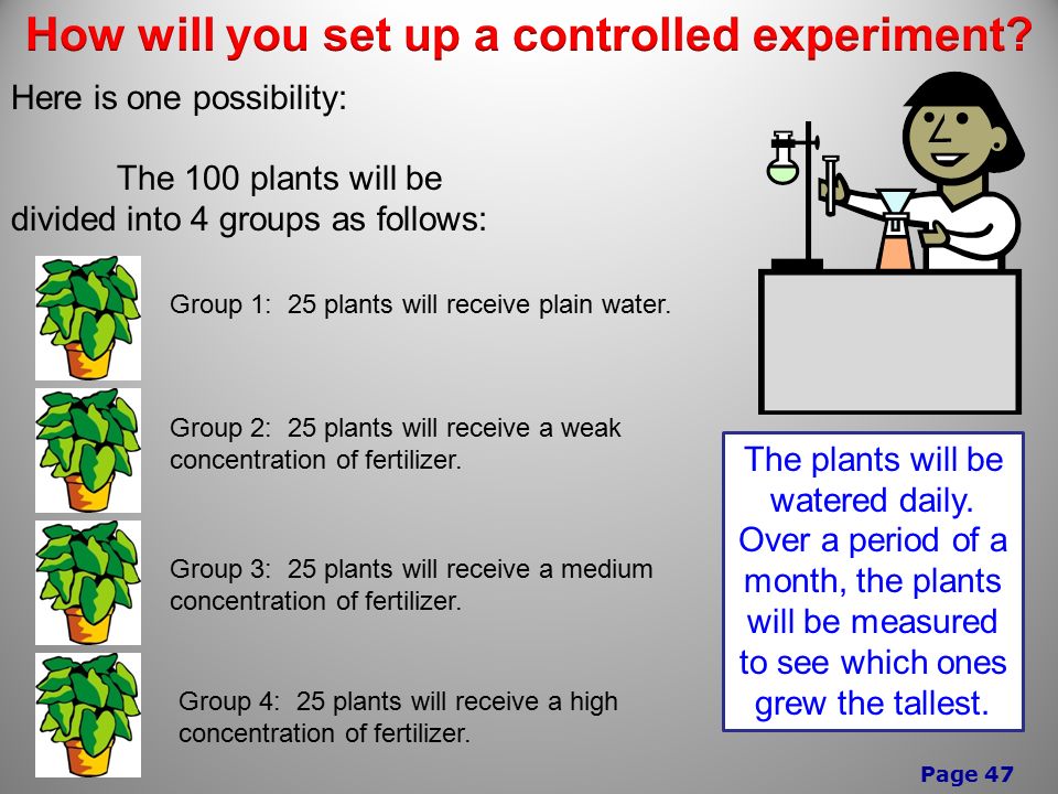 Page 47 Here is one possibility: The 100 plants will be divided into 4 groups as follows: The plants will be watered daily.