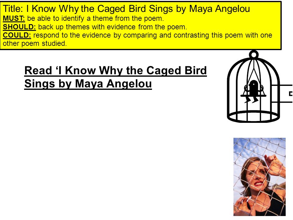 how the caged bird sings by maya angelou essay Maya angelou i know why the caged bird sings essay sample. how the caged bird sings by maya angelou essay Maya angelou i know why the caged bird sings essay sample.