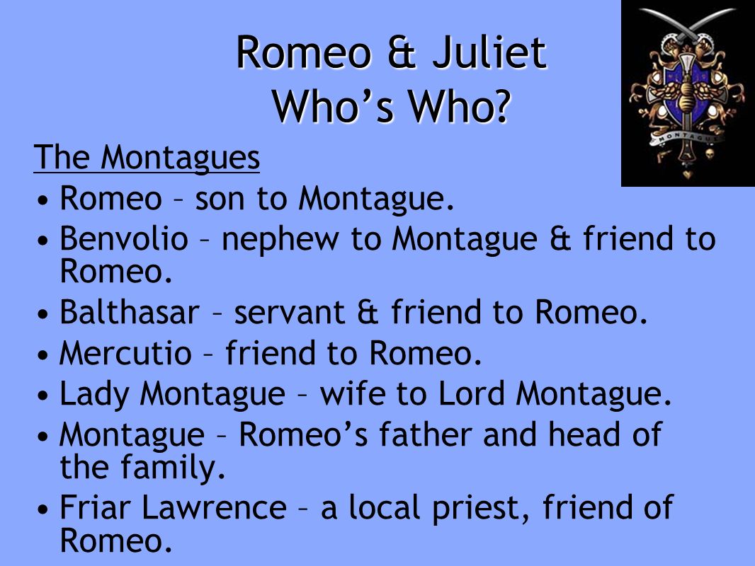 interview of romeo montague essay interview of romeo montague essay