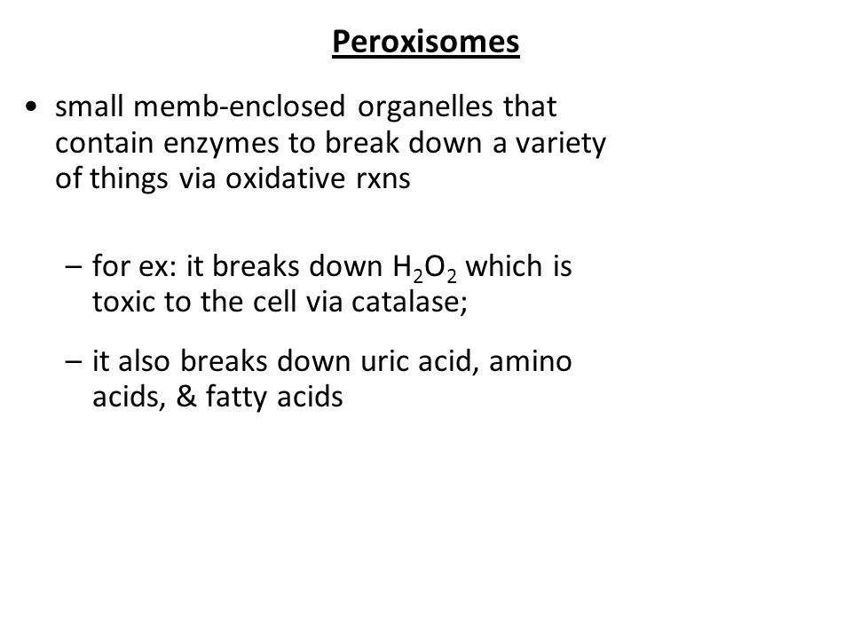 Cant lose weight graves disease photo 4