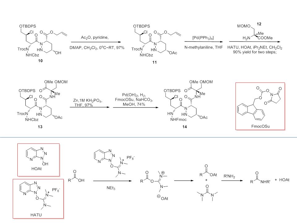 Total synthesis of natural products ppt presentation