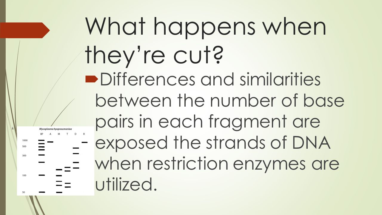 What happens when they’re cut.