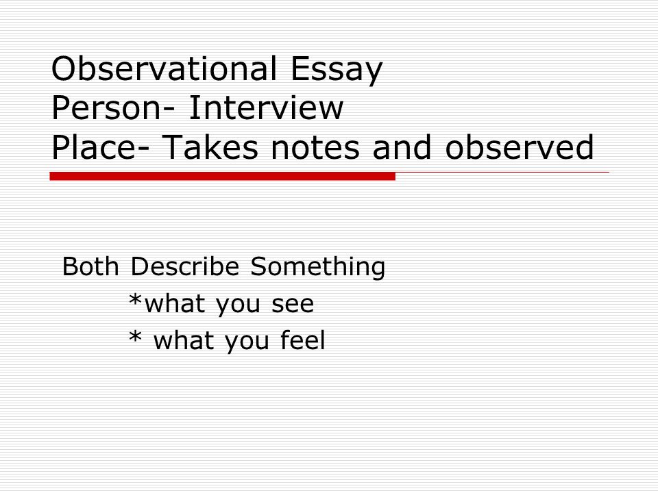 Observational Essay Professional Personal Essay Proofreading Introduction To Reflection Essays English Students Tth A Observational Essay Person Interview Place Takes Notes Help Writing My Literature Review also Sample Essays High School English Model Essays