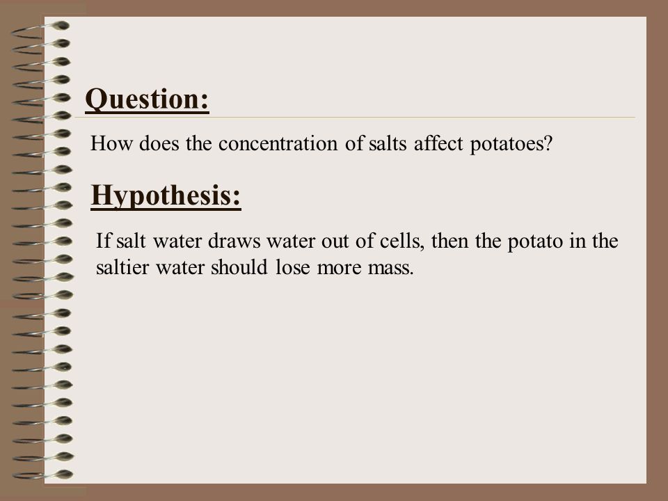 How do you do a lab for osmosis with potatoes?