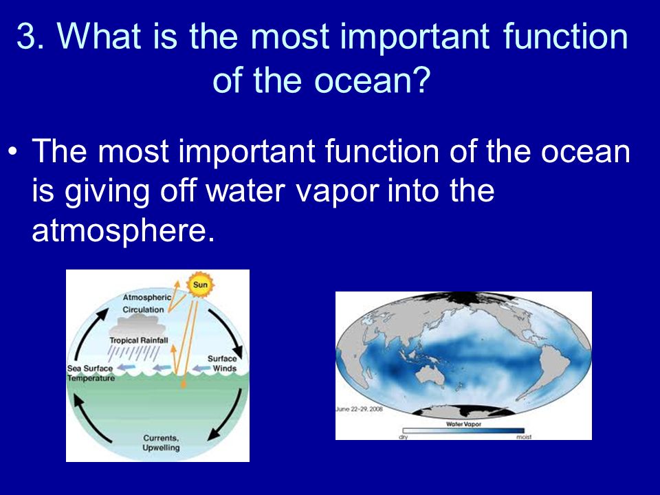 3. What is the most important function of the ocean.