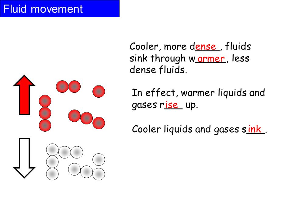 Fluid movement Cooler, more d____, fluids sink through w_____, less dense fluids.