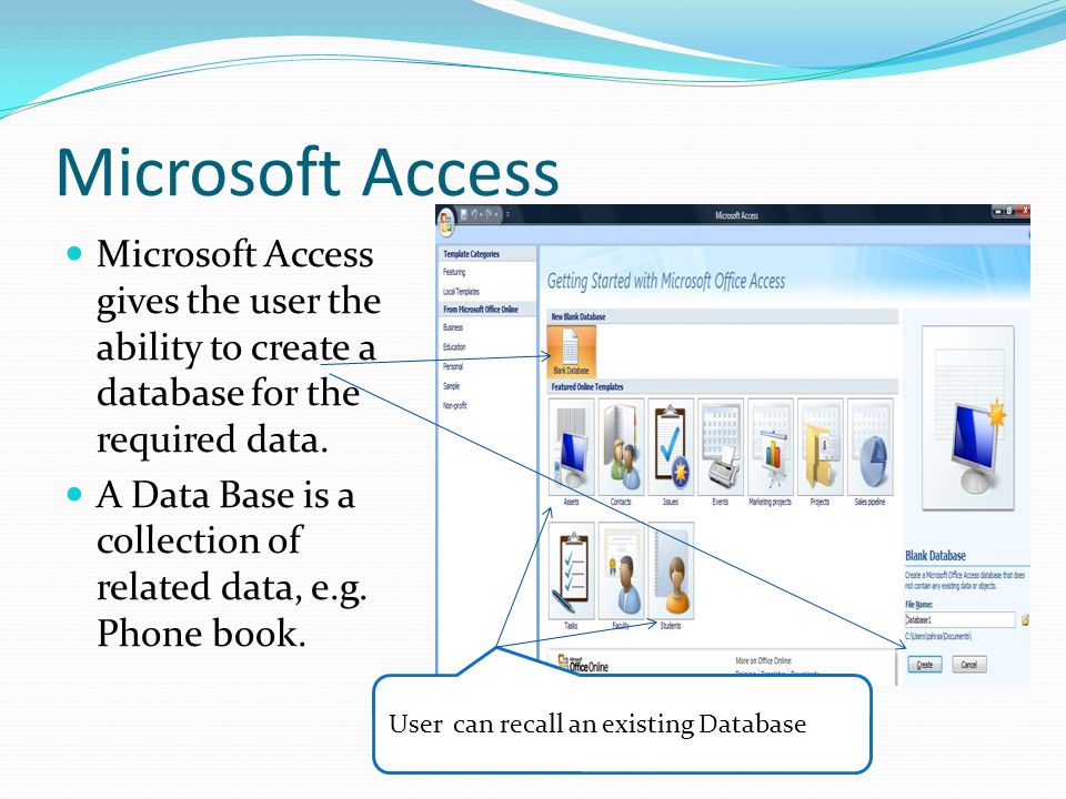 ms access themes download