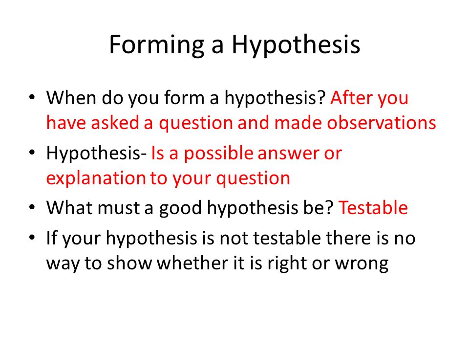 Forming a Hypothesis When do you form a hypothesis.