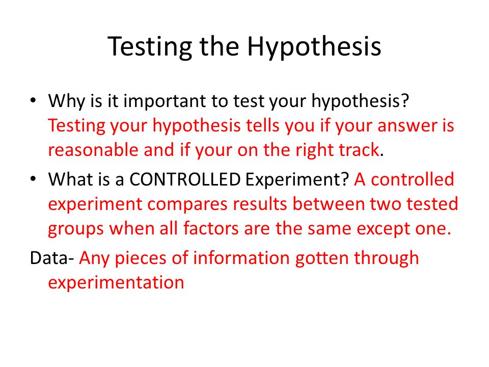 Testing the Hypothesis Why is it important to test your hypothesis.