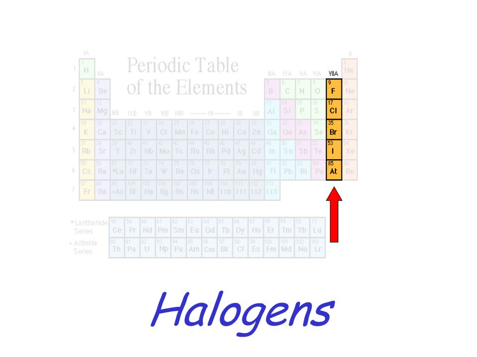 Periodic Table alkali and alkaline earth metals periodic table : Alkali Metals. Alkaline Earth Metals Transition Metals. - ppt download