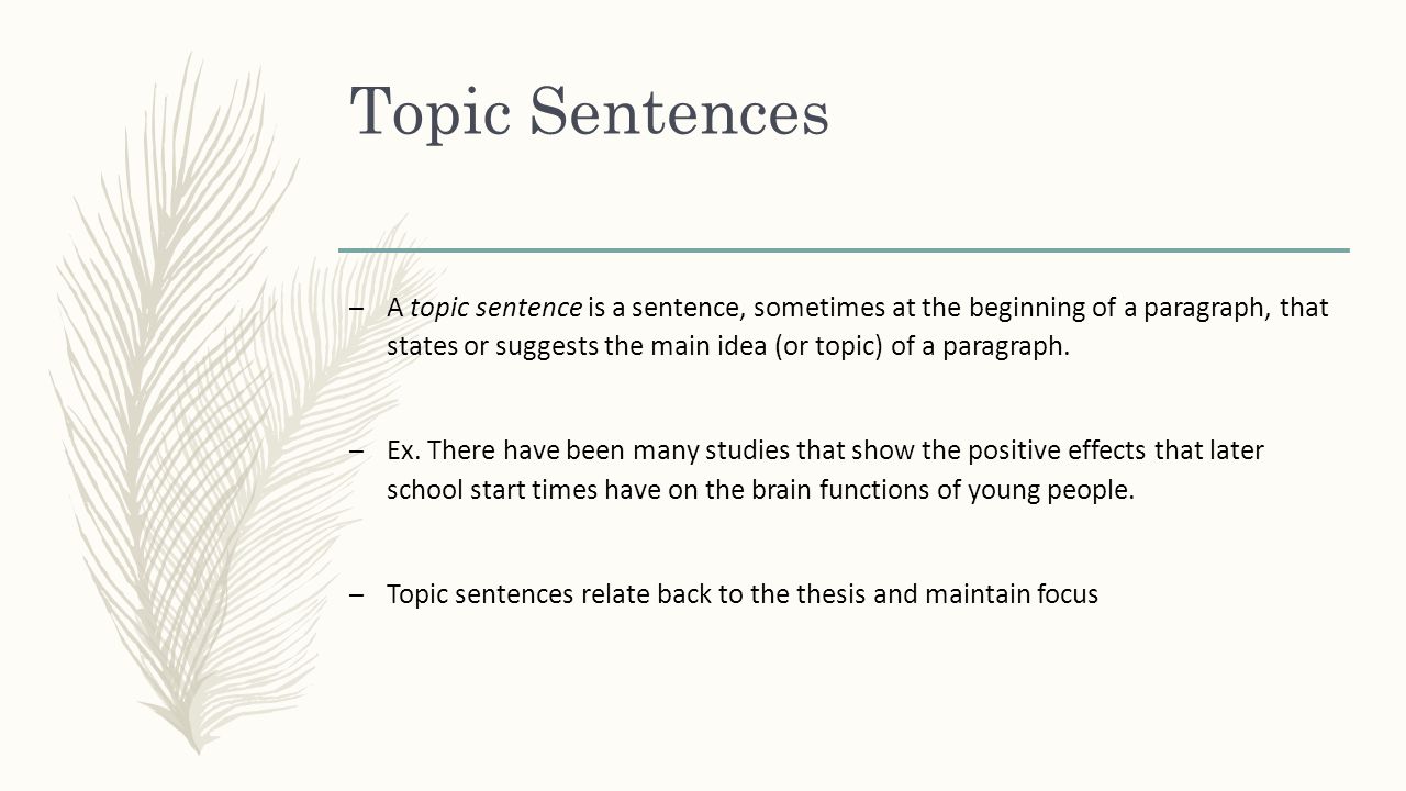components of a essay components of a essay