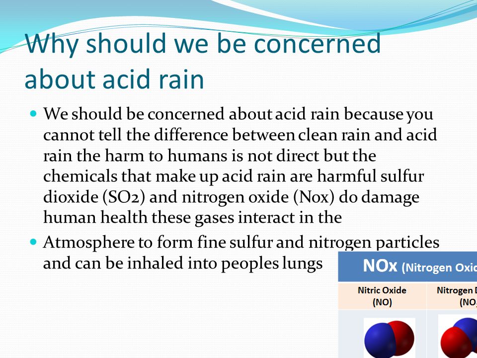 the detrimental effects of acid rain on the soil Educational resources the following links provide learning activities and science experiments related to acid rain through these activities, students will have the opportunity to get a first-hand look at the potential effects of acid rain. the detrimental effects of acid rain on the soil Educational resources the following links provide learning activities and science experiments related to acid rain through these activities, students will have the opportunity to get a first-hand look at the potential effects of acid rain.