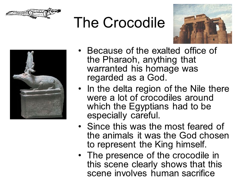 The Crocodile Because of the exalted office of the Pharaoh, anything that warranted his homage was regarded as a God.