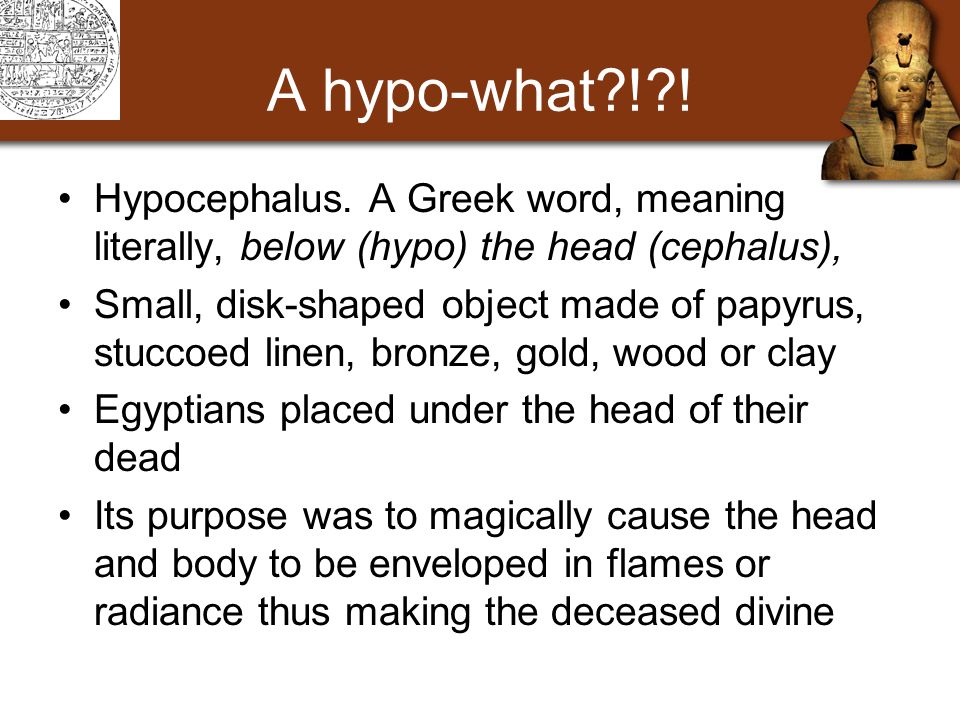A hypo-what ! . Hypocephalus.