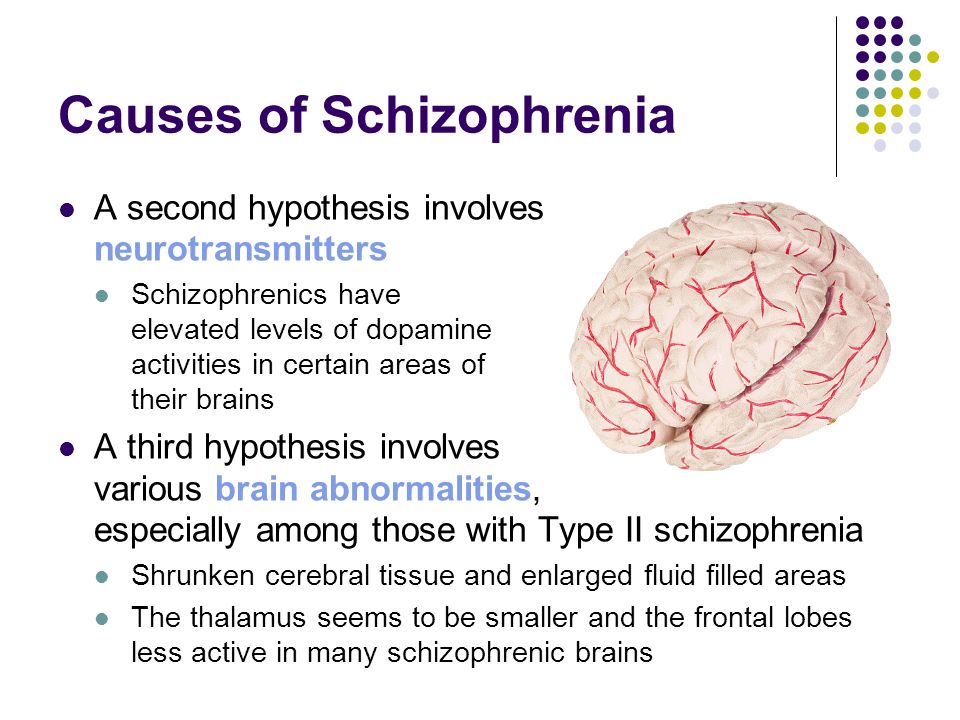 causes and treatments of schizophrenia essay causes and treatments of schizophrenia essay