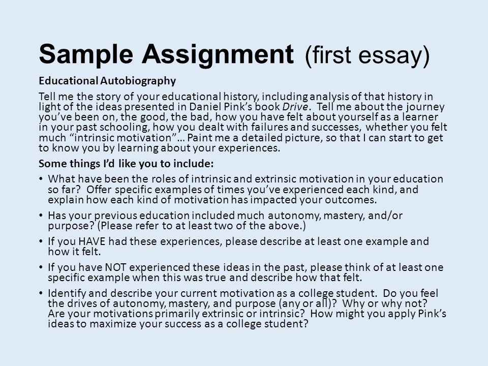 College autobiography example essay