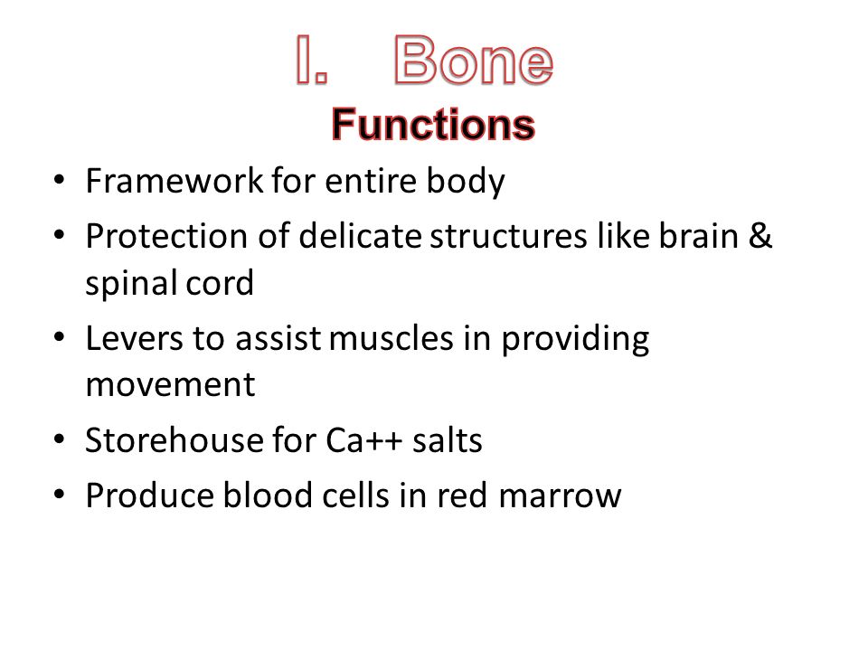 structural functionalism a framework for building Discuss the following sociological theories, showing their practicability in kenya structural functionalism either conflict theory or symbolic interaction. structural functionalism a framework for building Discuss the following sociological theories, showing their practicability in kenya structural functionalism either conflict theory or symbolic interaction.