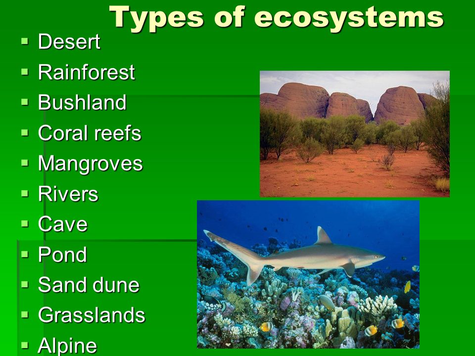 ecosystems an ecosystem is a combination of all the living and non types of ecosystems