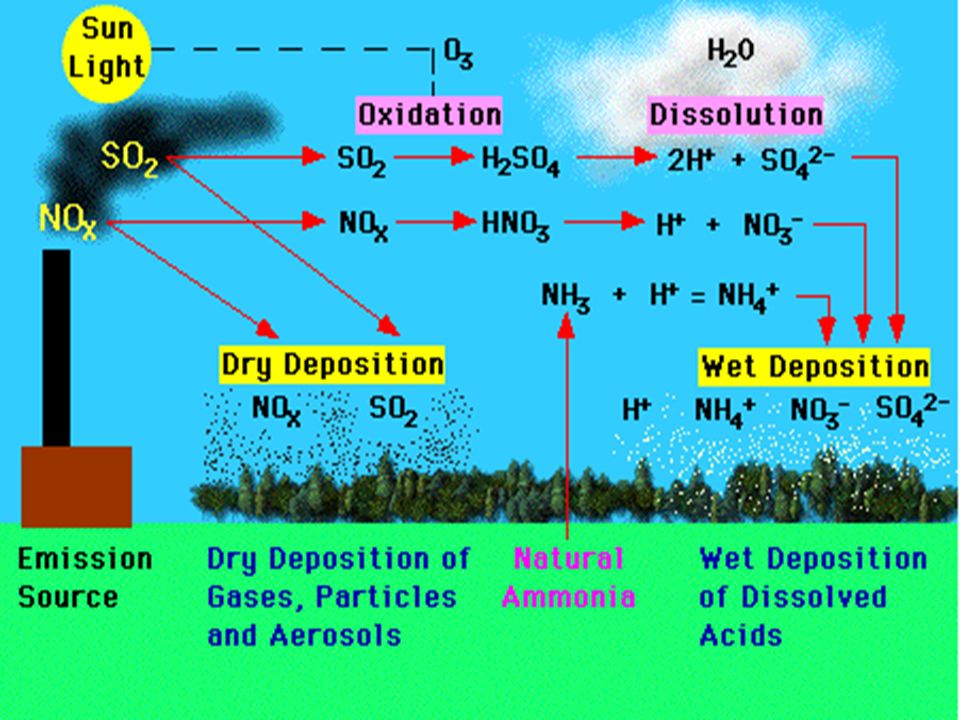 research paper on acid rain Essay acid rain within this past century, acidity of the air and acid rain have become recognized as one of the leading threats to our planets environment. research paper on acid rain Essay acid rain within this past century, acidity of the air and acid rain have become recognized as one of the leading threats to our planets environment.