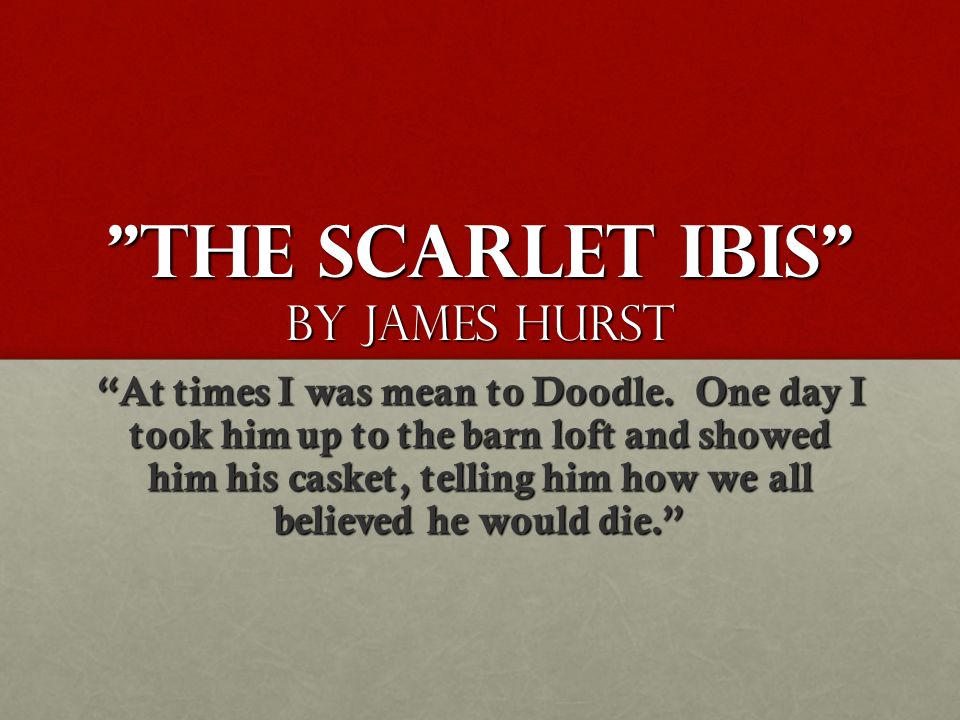 symbolism in the scarlet ibis essay Start studying imagery and symbolism in the scarlet ibis learn vocabulary, terms, and more with flashcards, games, and other study tools. symbolism in the scarlet ibis essay Start studying imagery and symbolism in the scarlet ibis learn vocabulary, terms, and more with flashcards, games, and other study tools.