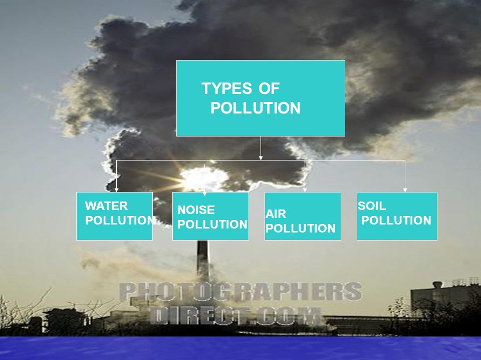 essay on air water and soil pollution Need essay sample on soil pollution pollution of underground soil • soil pollution by industrial effluents and solid hydrogen and oxygen from air and water. essay on air water and soil pollution Need essay sample on soil pollution pollution of underground soil • soil pollution by industrial effluents and solid hydrogen and oxygen from air and water.