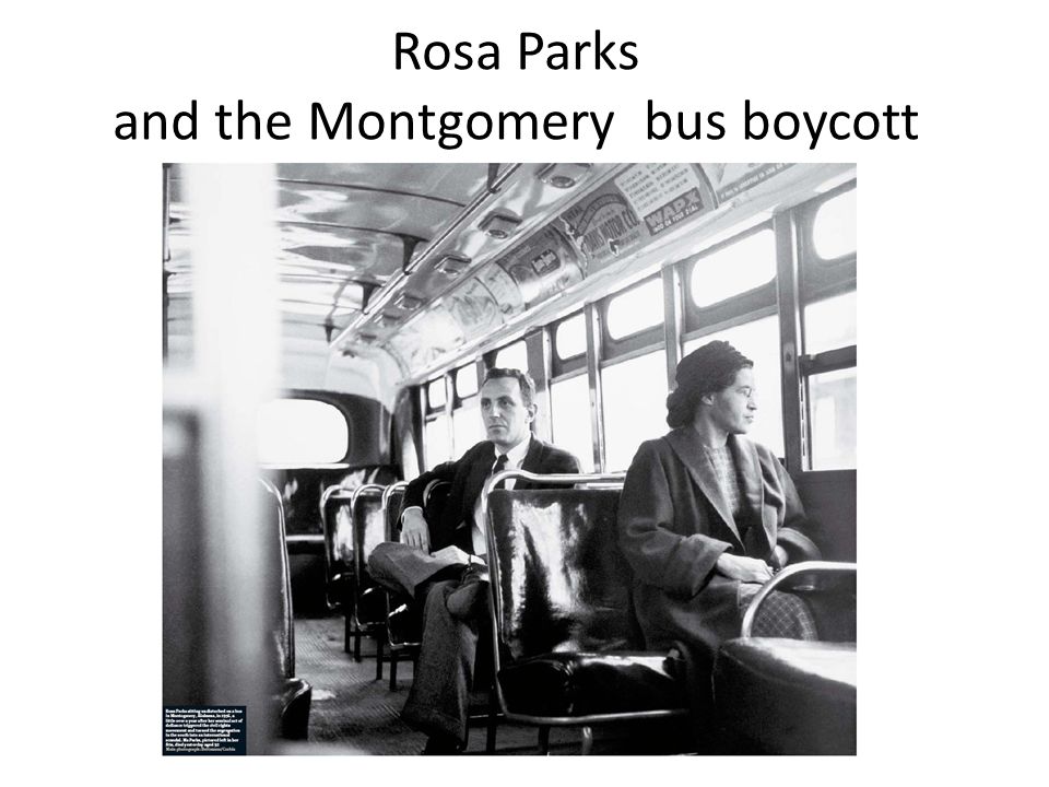 Montgomery Bus Boycott Essay
