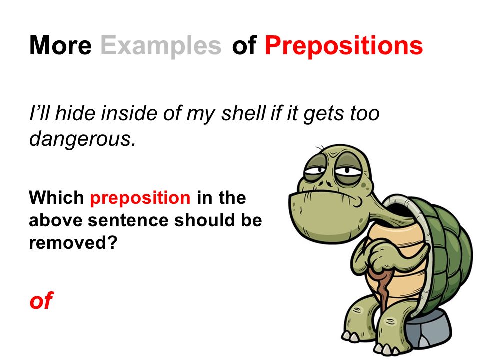 More Examples of Prepositions I’ll hide inside of my shell if it gets too dangerous.