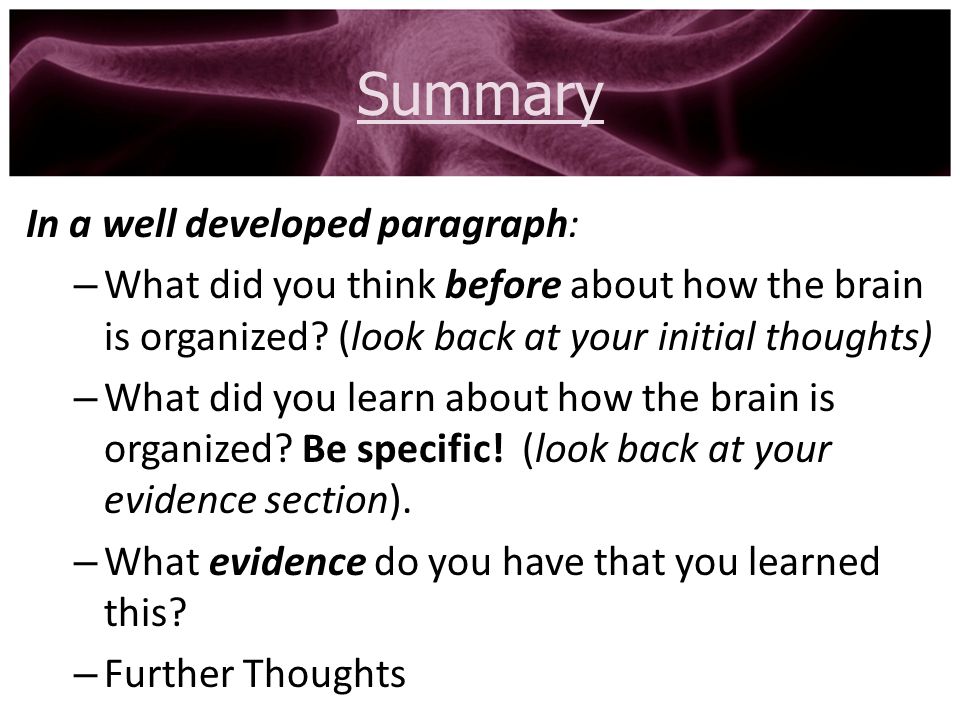 brains essay Human brain essays: over 180,000 human brain essays, human brain term papers, human brain research paper, book reports 184 990 essays, term and research papers available for unlimited access. brains essay Human brain essays: over 180,000 human brain essays, human brain term papers, human brain research paper, book reports 184 990 essays, term and research papers available for unlimited access.