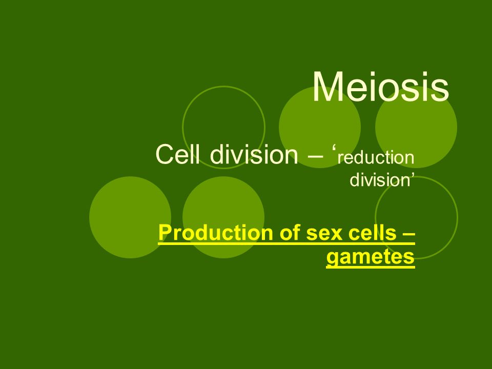 Meiosis Cell division – ‘ reduction division’ Production of sex cells – gametes