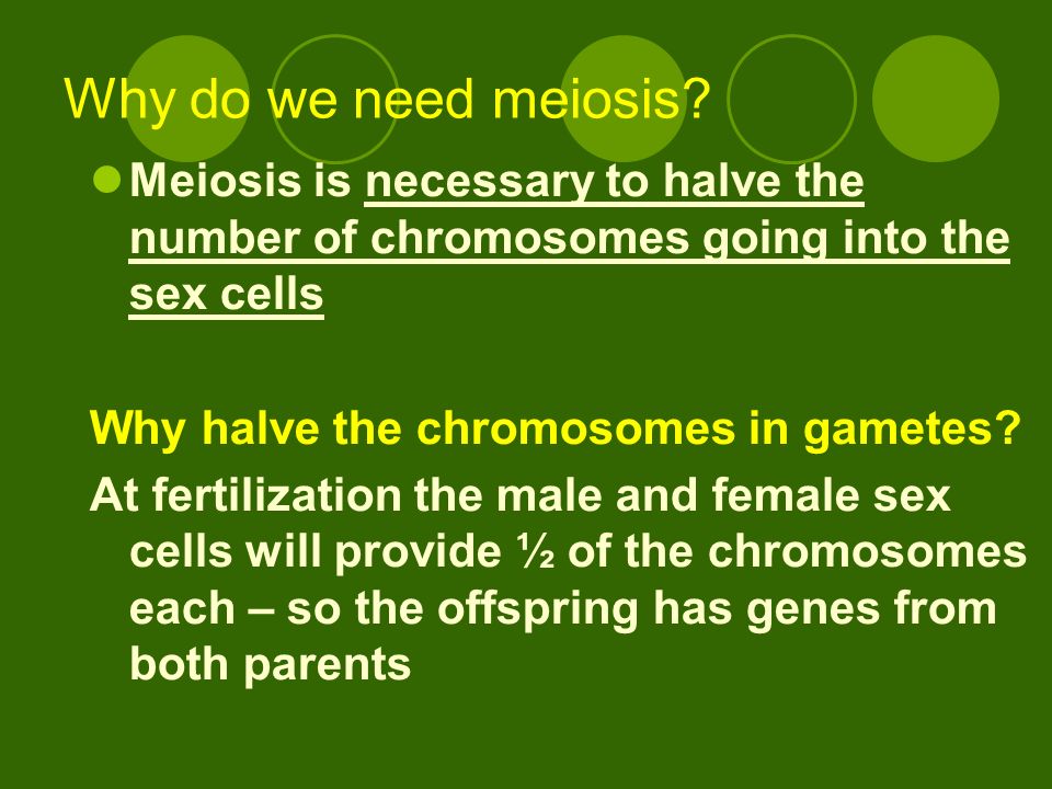 Why do we need meiosis.