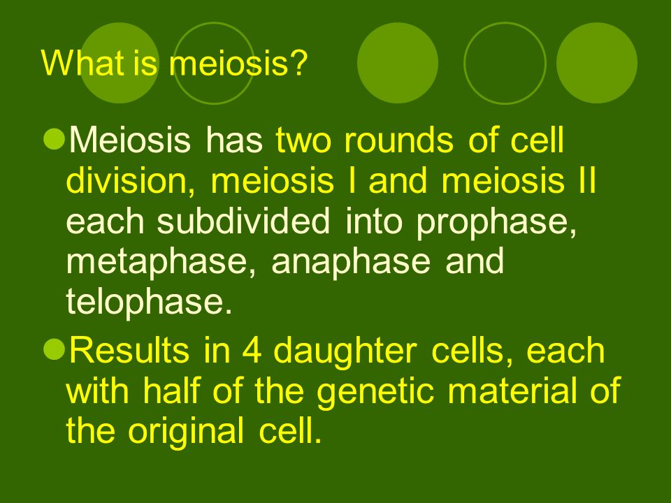 What is meiosis.