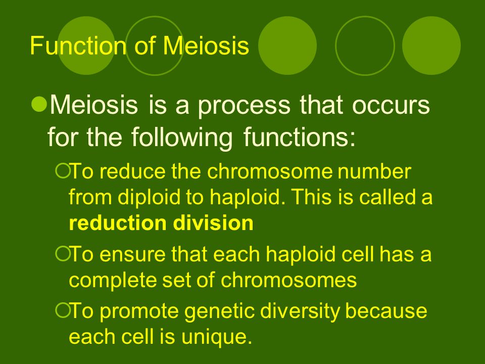 Function of Meiosis Meiosis is a process that occurs for the following functions:  To reduce the chromosome number from diploid to haploid.