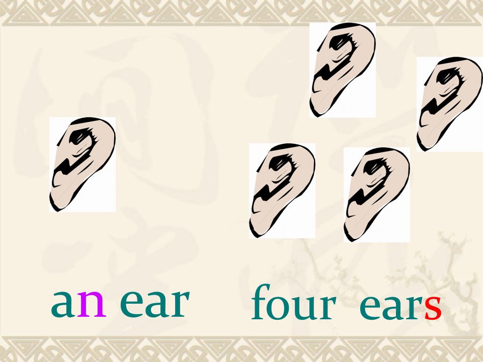 东区小学 关颖婷       an eye two eyes       an ear four ears