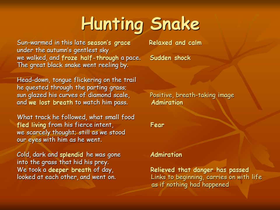hunting snake by judith wright 2 essay Essays - largest database of quality sample essays and research papers on hunting snake by judith wright. hunting snake by judith wright 2 essay Essays - largest database of quality sample essays and research papers on hunting snake by judith wright.