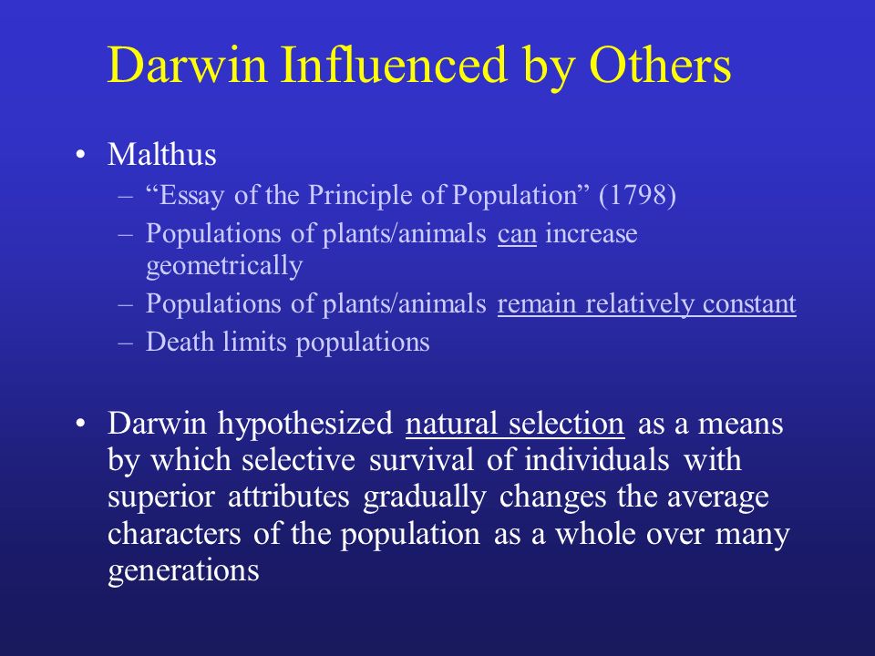 Essay Overpopulation Cause Effects