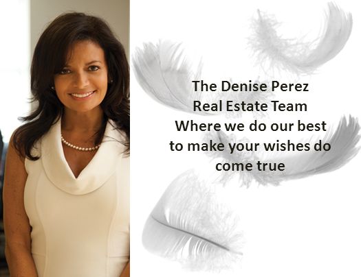 The Denise Perez Real Estate Team Where we do our best to make your wishes do come true