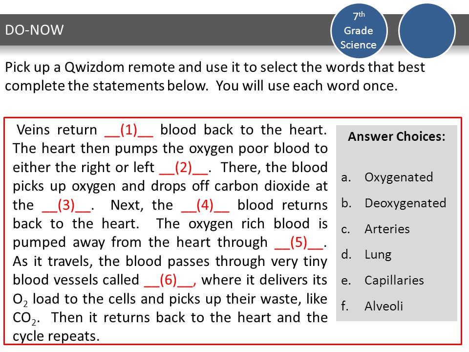 do now create a venn diagram to compare the respiratory and use the venn diagram to compare and contrast open and closed circulatory systems
