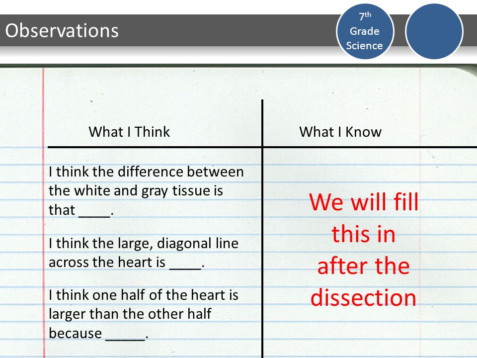do now create a venn diagram to compare the respiratory and use the venn diagram to compare and contrast open and closed circulatory systems