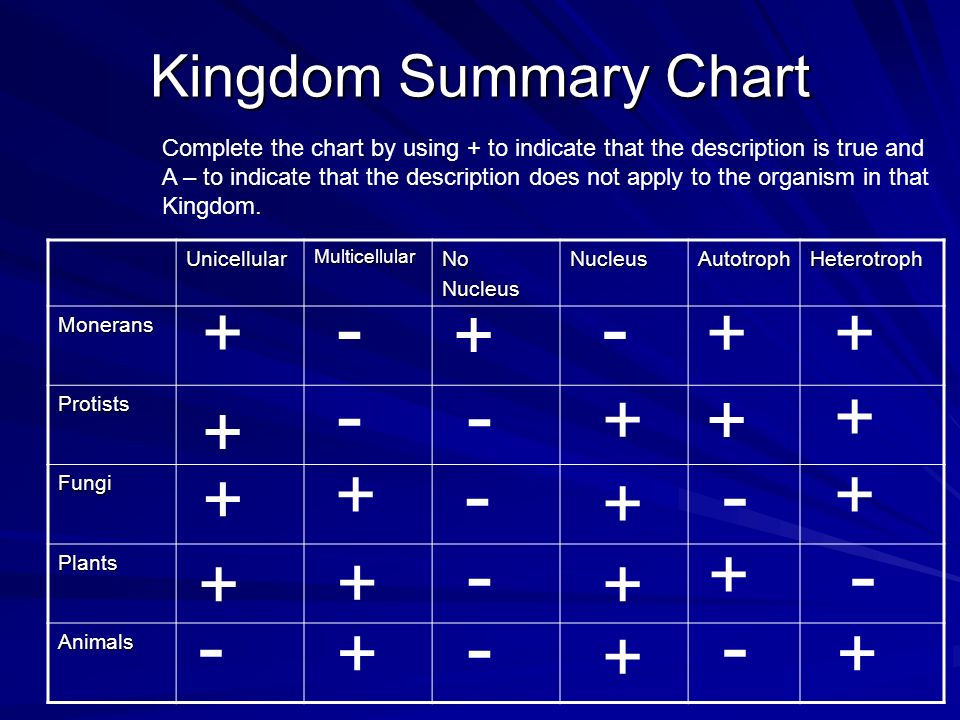 do today we will learn about the different kingdoms dq what are plants and fungi chart