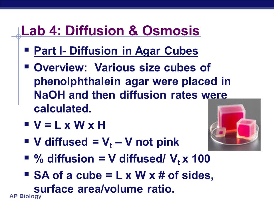 ap bio osmosis diffusion lab ap bio osmosis diffusion lab