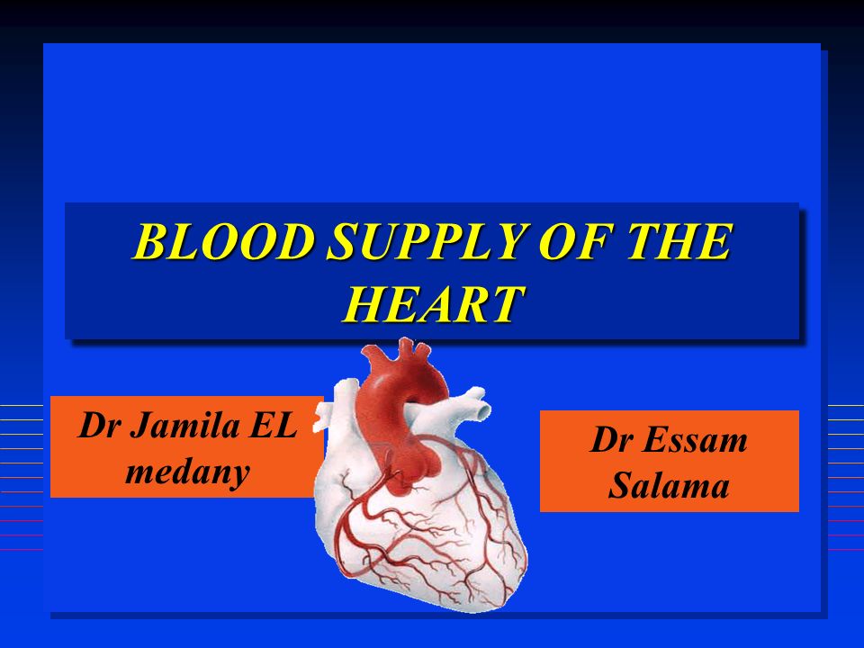 BLOOD SUPPLY OF THE HEART Dr Jamila EL medany & Dr Essam Salama