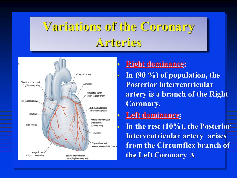 Variations of the Coronary Arteries  Right dominance:  In (90 %) of population, the Posterior Interventricular artery is a branch of the Right Coronary.